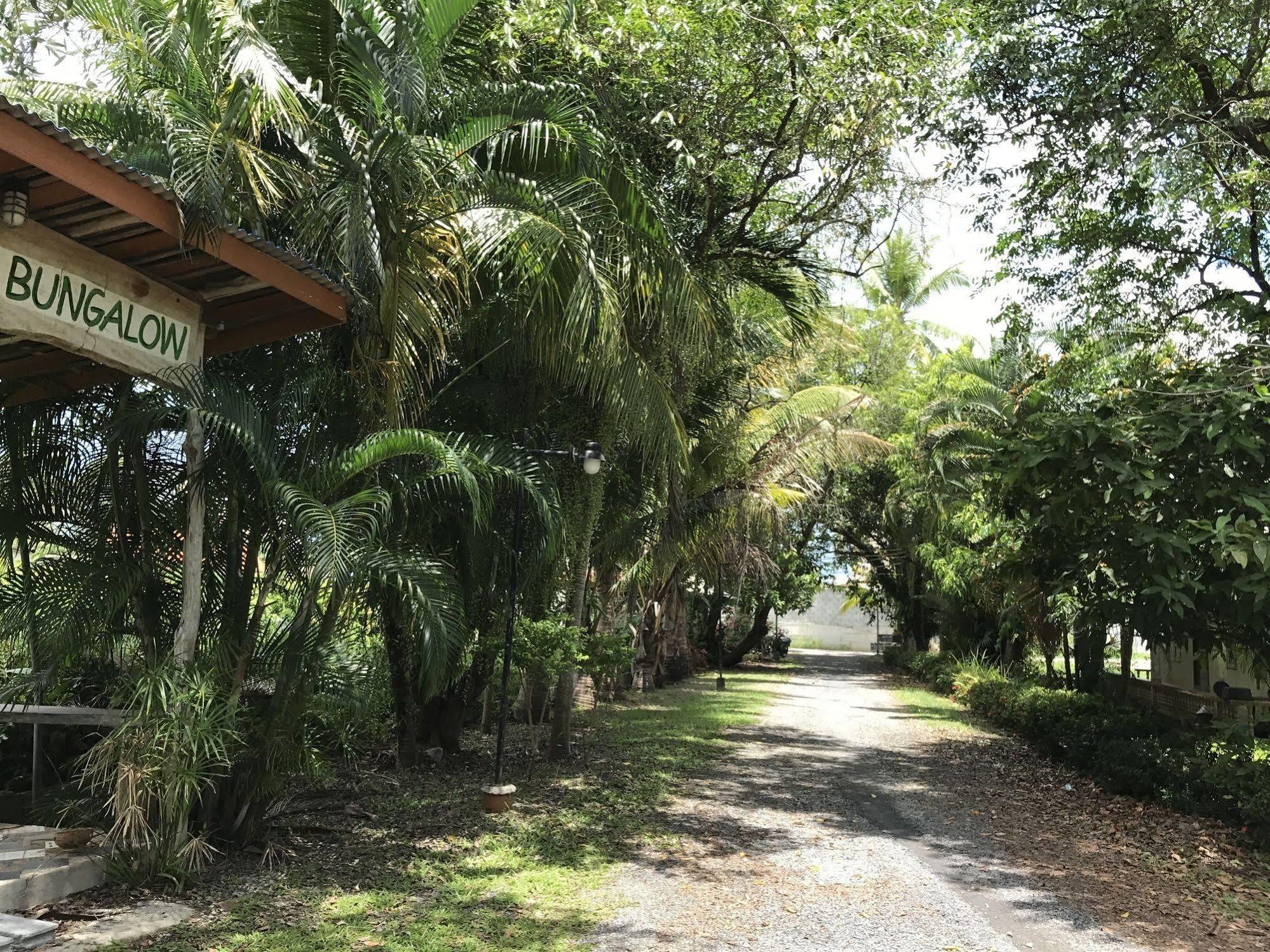 Coconut Bungalow Nai Yang Exterior foto